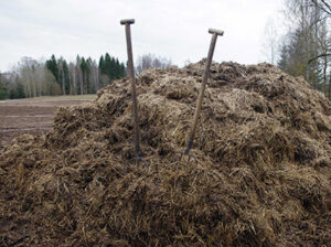 Vahtsõ nõudmisõ pitsitäse eläjäpidäjit