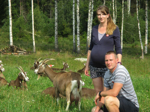 Andri-Peedo talo plaan k&uuml;mme k&otilde;rda in&auml;mb kitsi v&otilde;tta