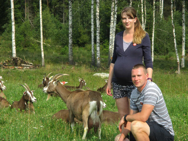 Andri-Peedo talo plaan kümme kõrda inämb kitsi võtta