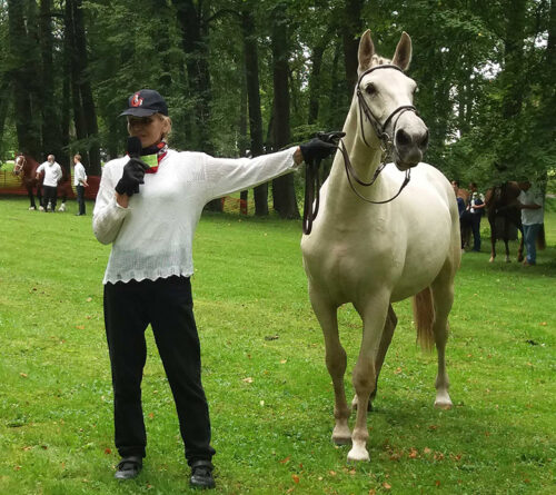 K&otilde;g&otilde; par&otilde;mba Tori hob&otilde;s&otilde; ar&otilde;taja tiitli l&auml;ts&rsquo; t&otilde;ist aastakka Vaabinal&otilde;