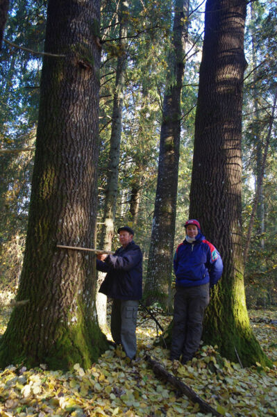 Vana-Võromaa kõgõ jämmämbä haava