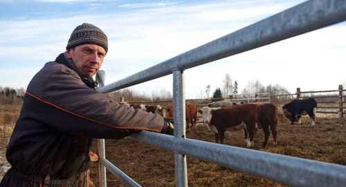 Noor&otilde; talonigu toetus kulus &auml;r