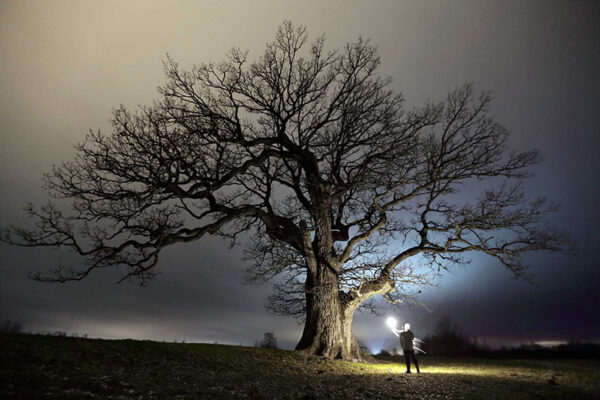 Hääd vahtsõt aastakka!