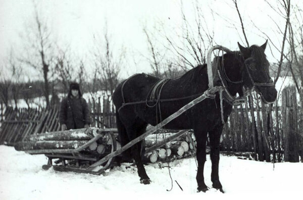 Katust om vaia&hellip;