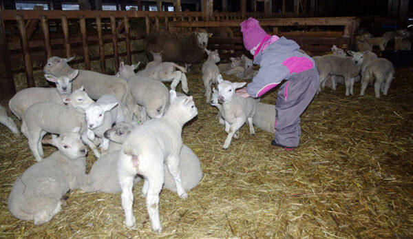 180 voonak&otilde;ist latsi r&otilde;&otilde;mus