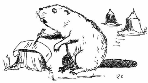 Paisutamin&otilde; luubi all