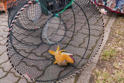 Kev&auml;j&auml;laat R&auml;pin&auml;l