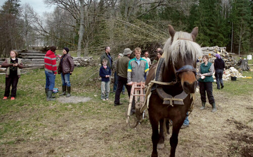 Hobõsõtüü päiv Karulan