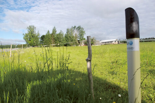 Kipõ internet kodo mano