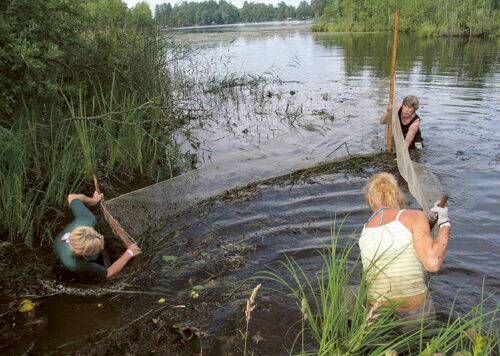 Viitinä Kuurits pidä puulpäävä väikut juubõlit