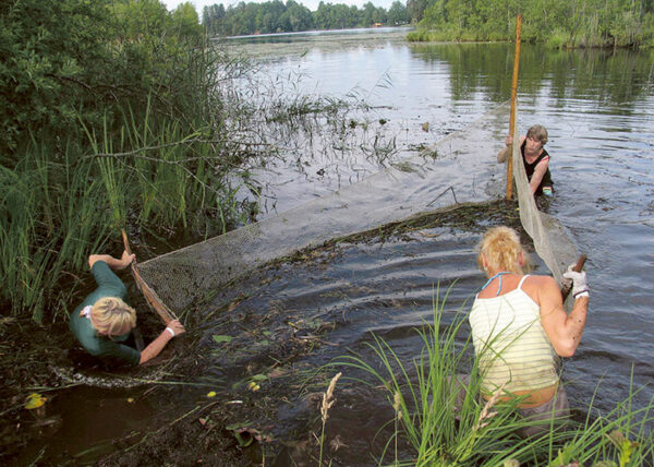 Viitinä Kuurits pidä puulpäävä väikut juubõlit