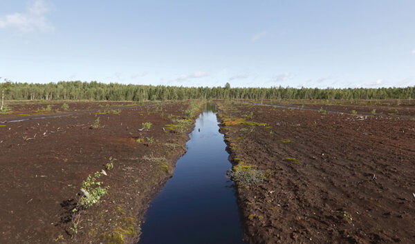 Vana suukraavi aetas kinni