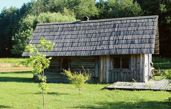 Haanimaal tulõ säitsmes suidsusanna nätäl