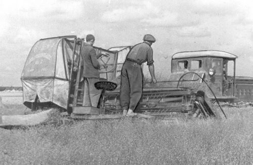 Linakasvatus, majandidõ lisatulu