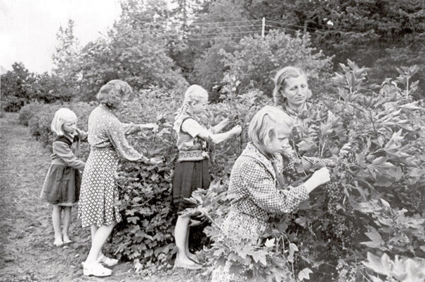 Suvin&otilde; kooliveer&auml;nd