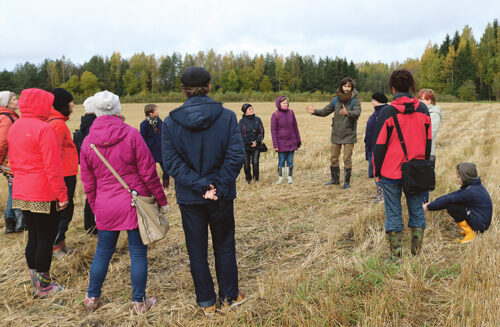 Naksik&otilde;isi rata pite
