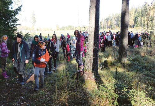 Midä ütest mõtsankäügist oppi?