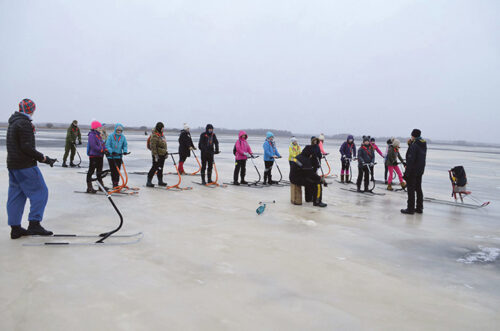 Osola kodot&uuml;tre ja noor&otilde;kotka t&otilde;uk&otilde;kelk&otilde;ga L&auml;mmij&auml;rve p&auml;&auml;l