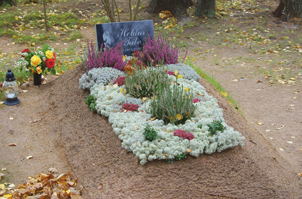 Lille ja pärgi pallõ mitte tuvva