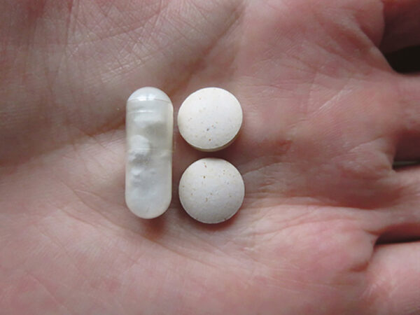 Eesti 100 aasta juubõli vastavõtminõ rohtõga