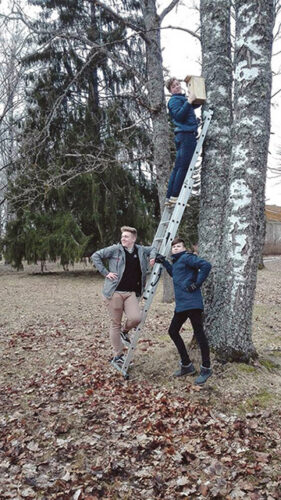 Rõugõn tetti ja panti üles 100 tsirkõ pesäkasti