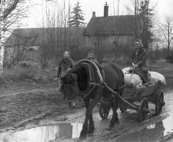 H&auml;d&auml;n kev&auml;j&auml;dse tiiga