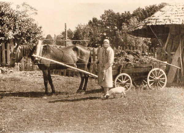 Hobõsõga kartolipandminõ