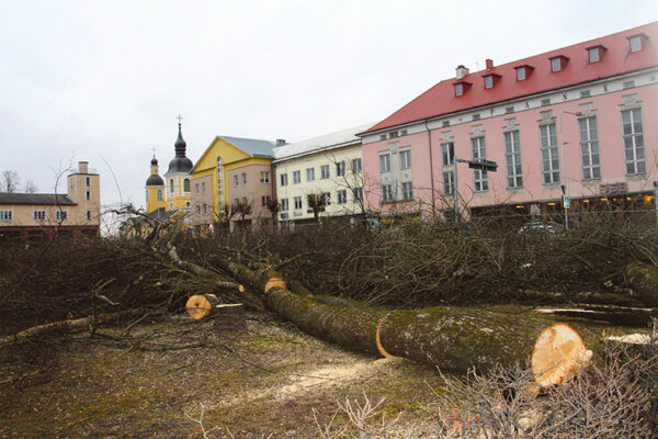 Sannalava mõlgus meelen