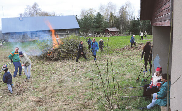 Pääväkene keväjäst kõrrastust