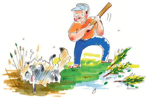 K&auml;hrik m&auml;ngse k&auml;hrikut