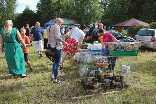 24. maarahva laat Vahtsõliinan