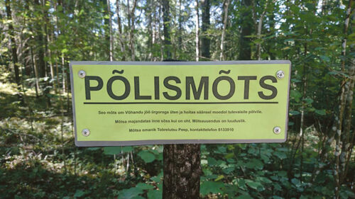 Kuis saia 200aastast puud?