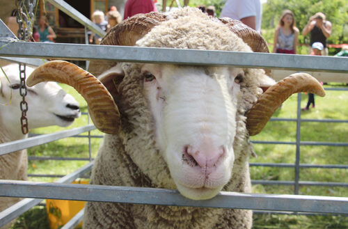 Välätüü lõpõtusõ päiv