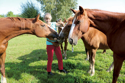 Tori hobõsidõ kasvataja Ester
