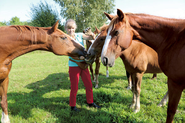 Tori hobõsidõ kasvataja Ester