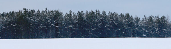 K&otilde;iki asjo saa k&otilde;n&otilde;l&otilde;mis&otilde;ga k&otilde;rda aia