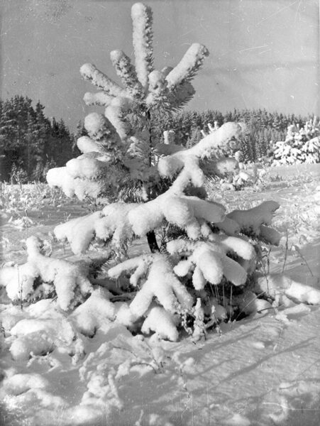 V&auml;iku ped&auml;j&auml; j&otilde;ulusuuv