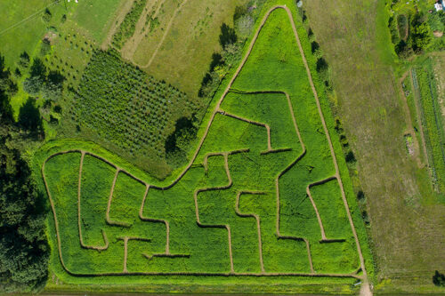 Noor&otilde; k&otilde;rraldi Kanepin suur&otilde; festivali