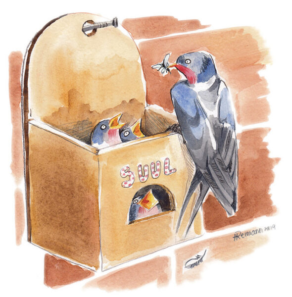 H&auml;d&auml;h nigu Pondso Jakop p&auml;&auml;sok&otilde;isiga