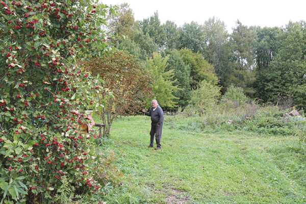 M&auml;&auml;negi austus&hellip;