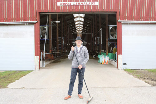 Nopri talomeierei tege vallal&otilde; vahts&otilde;s tett&uuml; lehm&auml;lauda