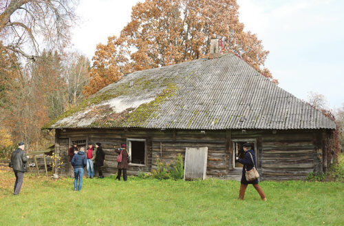 K&auml;&uuml;k K&otilde;ivu Madiss&otilde; mai&otilde; p&auml;&auml;le