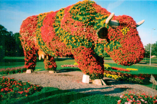 Suv&otilde;m&auml;leht&uuml;s: silm&auml;illo t&auml;&uuml;s liin