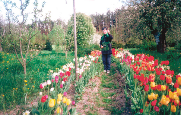 Vanno valvmalda majjo saatus