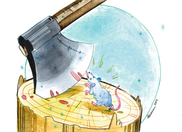 Kirv&otilde;kuninga aasta