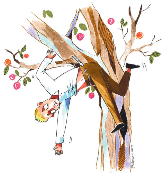 Kas puu otsast allatulõk om selge?