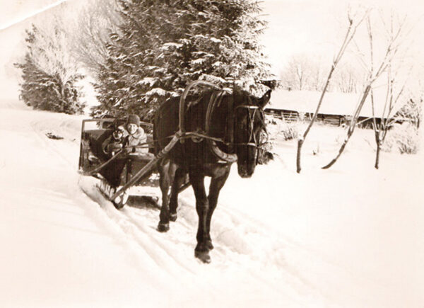 Kildak&otilde;isi aost, ku talv&otilde; olli viil lumids&otilde;