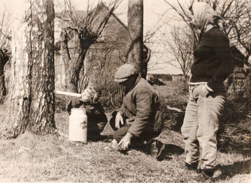 Valg&otilde; piha ja pikki hiussid&otilde;ga puu
