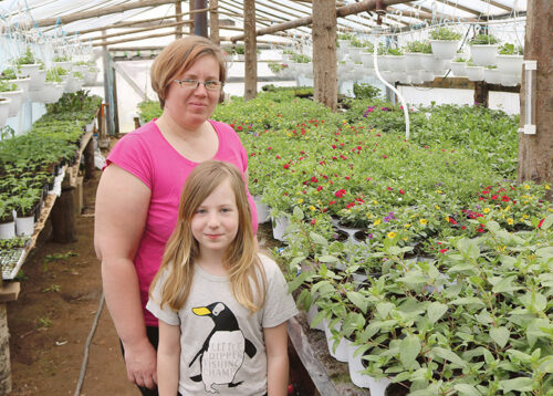 Kasvumajaim&auml;nd Elgita