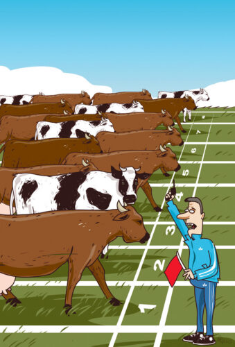 Parm tsuskas: kar&rsquo;alaskmis&otilde;p&auml;iv